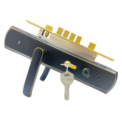 Stainless Steel SS Door Handle Lock CF/Black (6817-25)