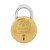 Godrej NAV-TAL 7 Levers Brass Padlock (3062)